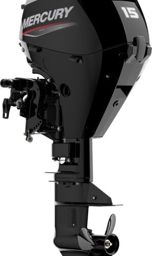 Mercury F15 EFI ELPT